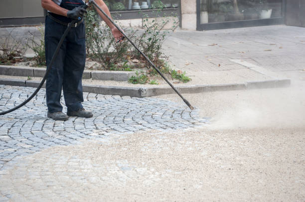 Pre-Holiday Cleaning in Elk Grove Village, IL